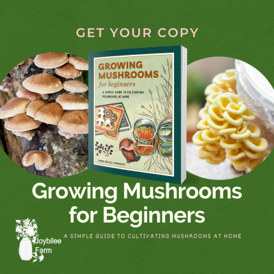 How To Grow Mushrooms On Logs Part