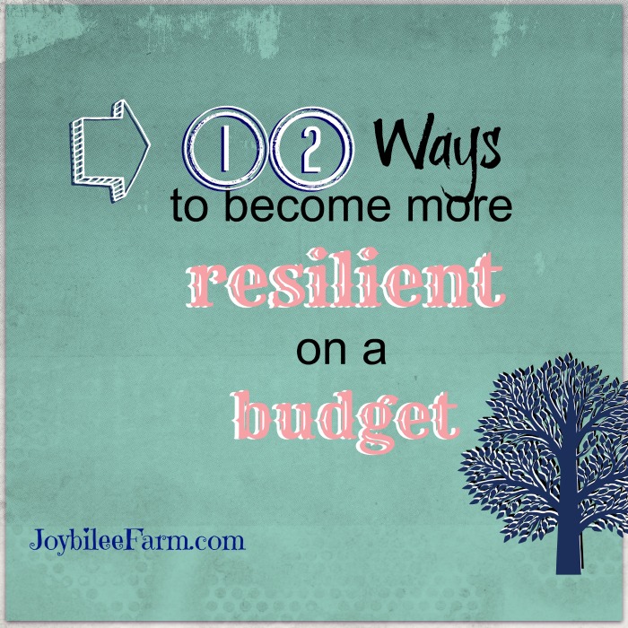 12 Ways to become more resilient on a budget