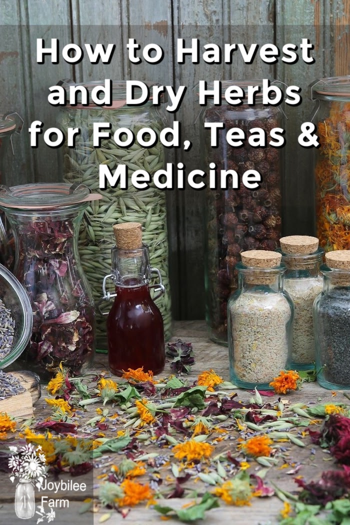 How to Harvest and Dry Herbs - Joybilee® Farm | DIY | Herbs | Gardening