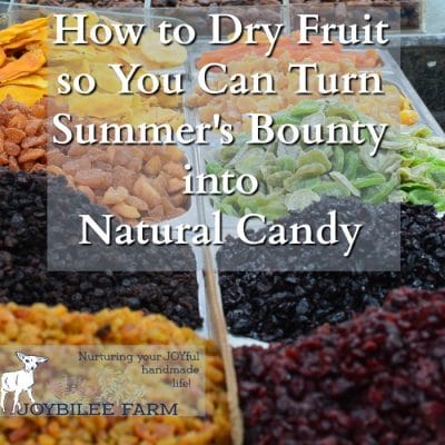 How to Dry Fruit so You Can Turn Summer’s Bounty into Natural Candy