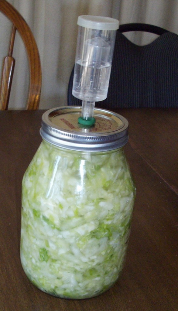 lacto-fermented vegetables in a mason jar will soon be sauerkraut