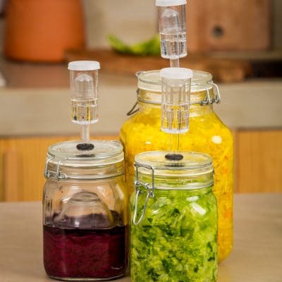 Lacto-Fermented Vegetables Prepared at Home the Easy Way