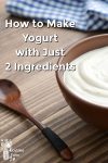 yogurt in a wooden bowl
