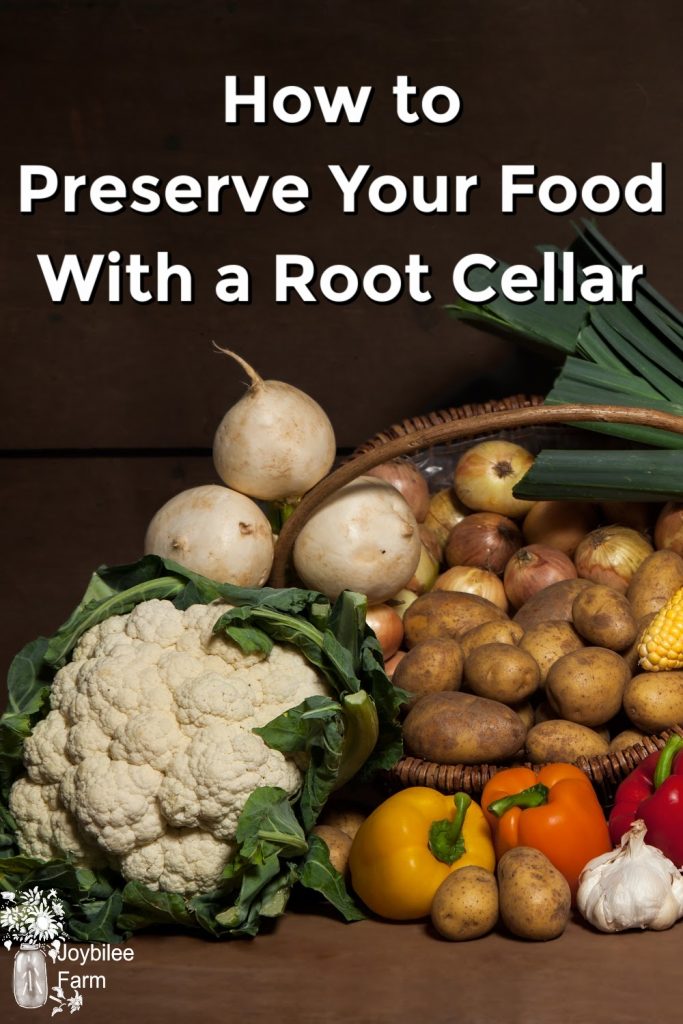 preserve your vegetables in the root cellar