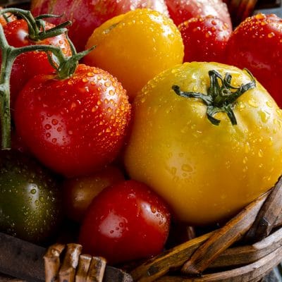 How to Save Tomato Seeds in 7 Easy Steps and Never Buy Seeds Again