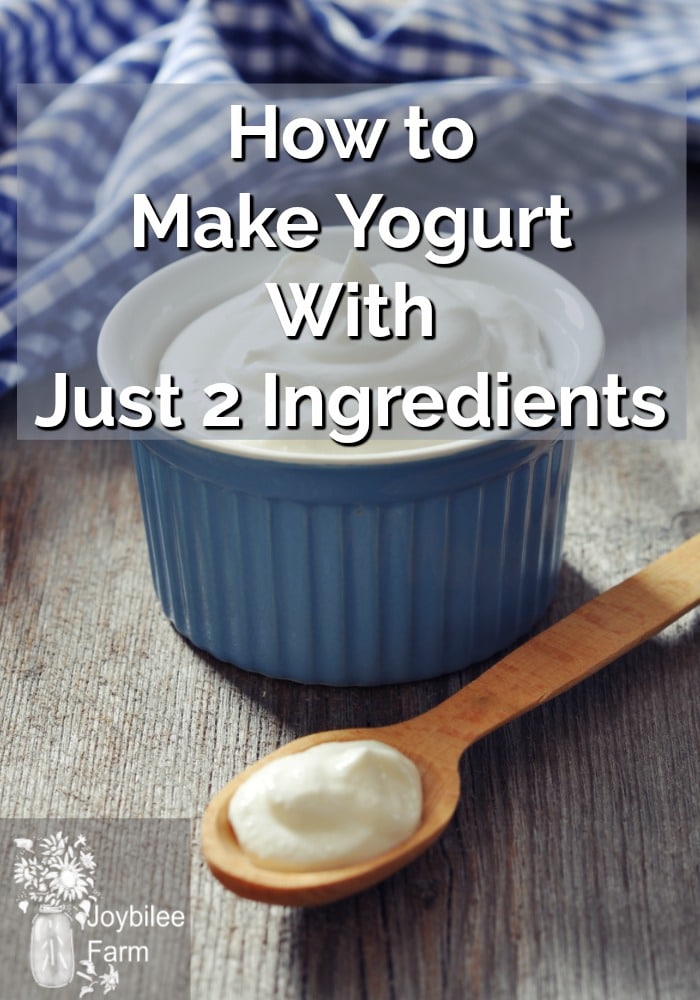 How to make yogurt at home with just 2 ingredients and no special equipment!