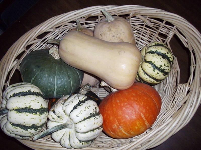 a wicker basket of mixed squash types including butternut and sweet dumpling