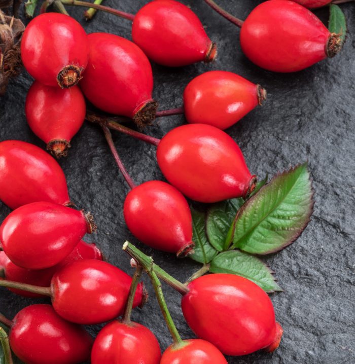 Rosehips For Free Vitamin C Joybilee Farm Diy Herbs Gardening