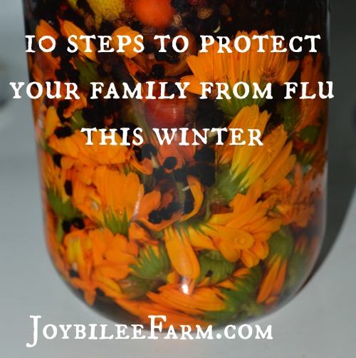 10 steps to protect your family from flu this winter -- Joybilee Farm