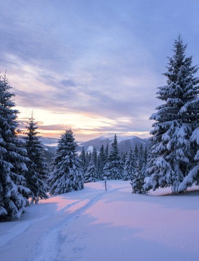 Winter on the homestead brings with it a unique set of hazards. We deal with ice, mud, snow, and wind which combine to make walking, and outdoor work a little more dangerous. With some forethought, you can be successful in avoiding winter injuries on the homestead.