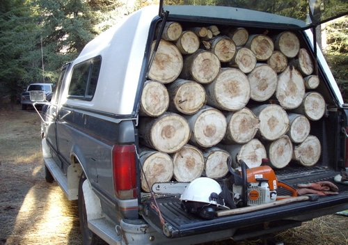 our wood harvest in the back of the pickup