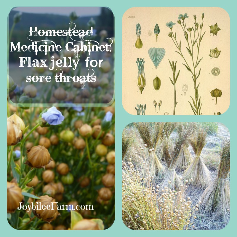 Homestead Medicine Cabinet: Flax Jelly for Sore Throats - Joybilee Farm®