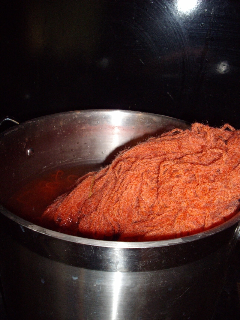 Madder from the Natural Dye Garden