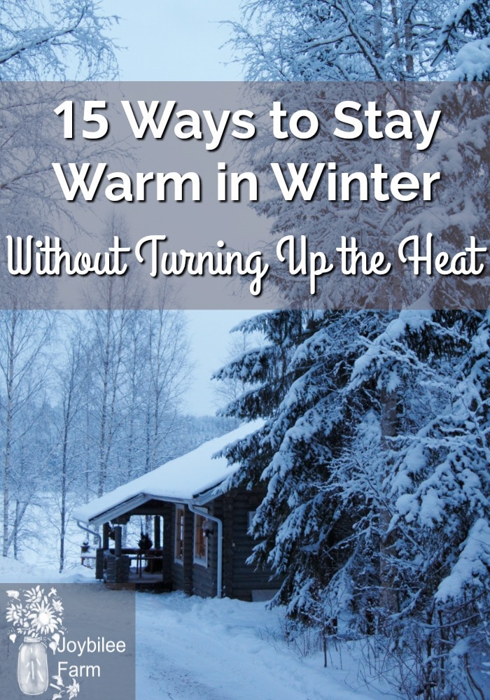 Snowy cabin and trees with the text 15 Ways to Stay Warm in Winter Without Turning Up the Heat