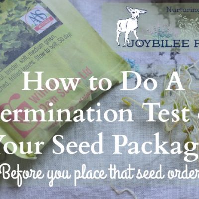 How to Do A Germination Test on Your Seed Packages