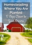 Homesteading Where You Are Planted – 12 Steps Closer to Your Dreams