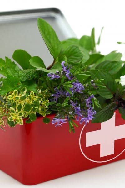 A red first aid kit with herbs and flowers inside