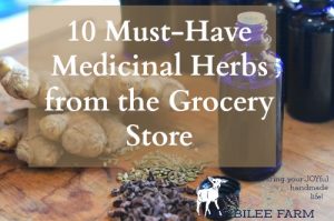 Medicinal Herbs from the Grocery Store - Joybilee® Farm | DIY | Herbs ...