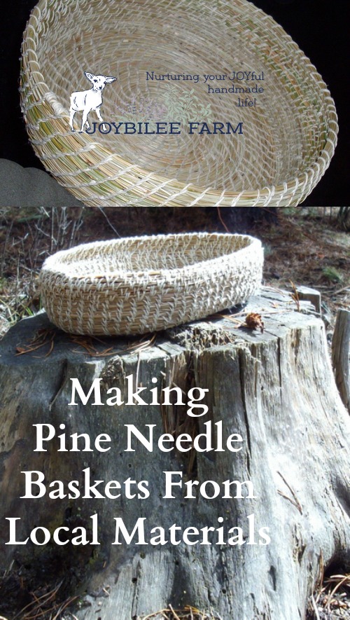 Gather local pine needles and turn them into beautiful baskets with these easy instructions.