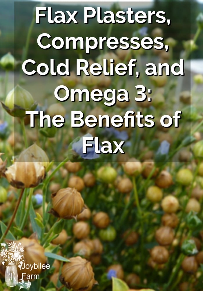 Flax Plasters, Compresses, Cold Relief, and Omega 3: The Benefits of Flax