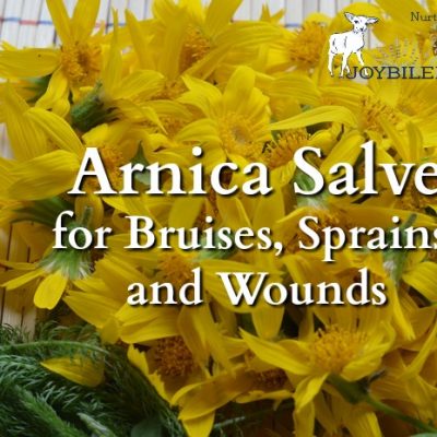 DIY Arnica Salve