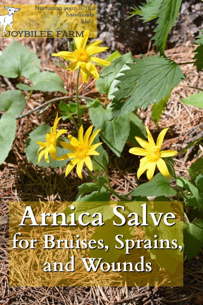 Arnica salve soothes bruises, sprains, and strains. It is a must for your first aid kit, especially if you are active outdoors.