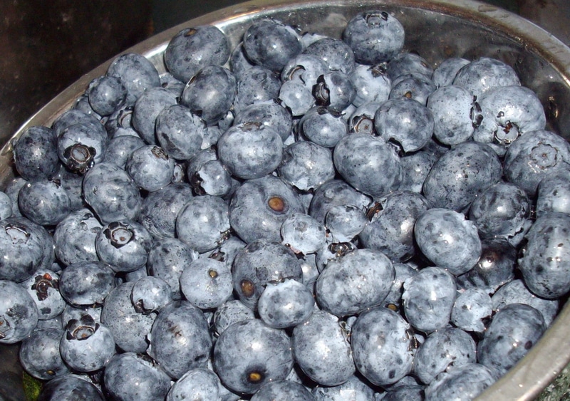 a bowl full of Blueberries