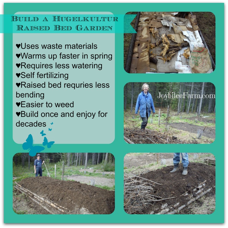 collage of building a hugelkulture bed, cardboard and outline, stamping down wood-waste, adding compost and manure, and adding finished soil