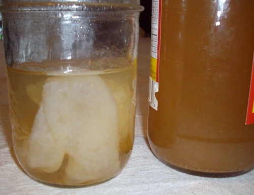 scoby and apple cider vinegar