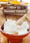 How to Render Tallow