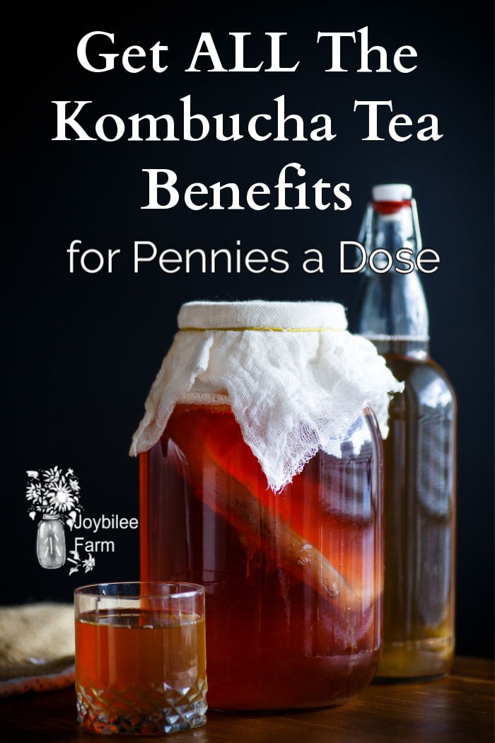 kombucha brewing, in a glass bottle, and in a cup on a dark background
