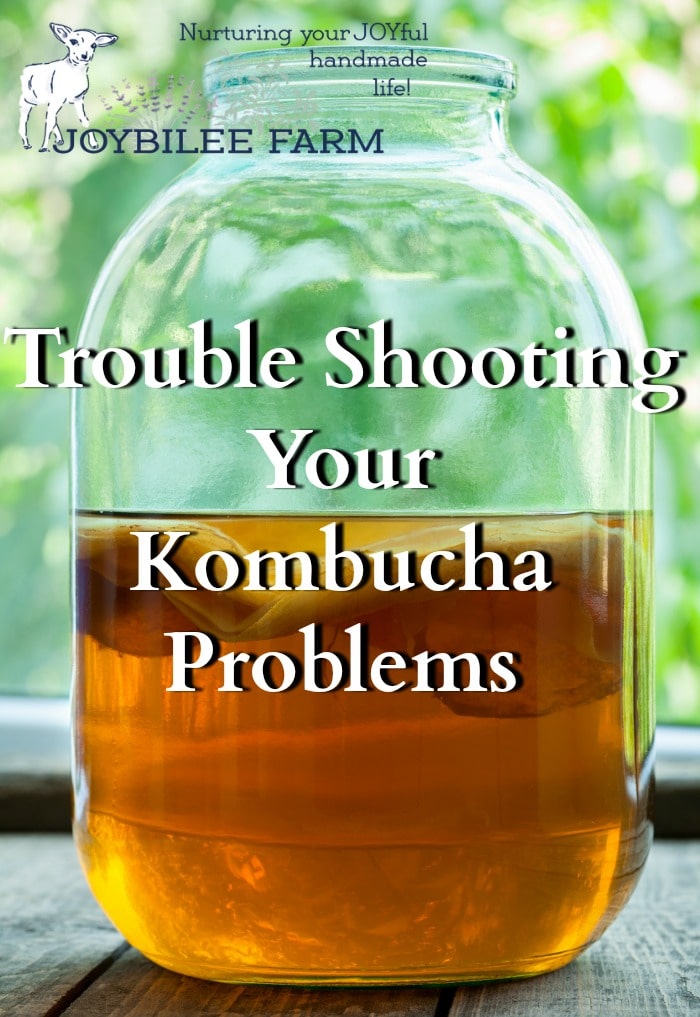 Troubleshooting Kombucha: Make Sure These 6 Problems Aren'T Yours