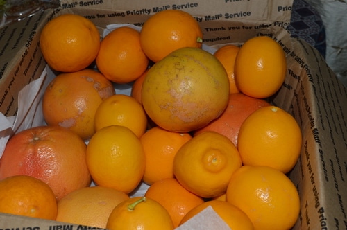 A box of citrus to make DIY Lemon-vinegar Cleaner