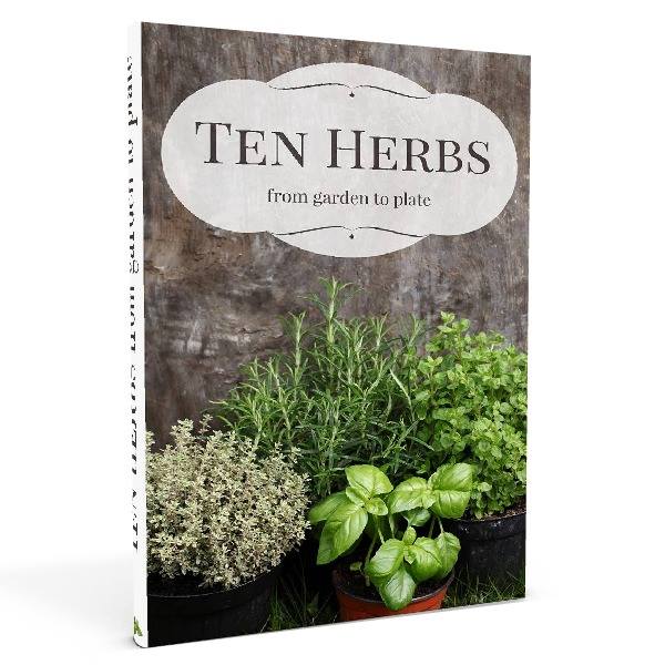 10 Herbs from Garden to Plate