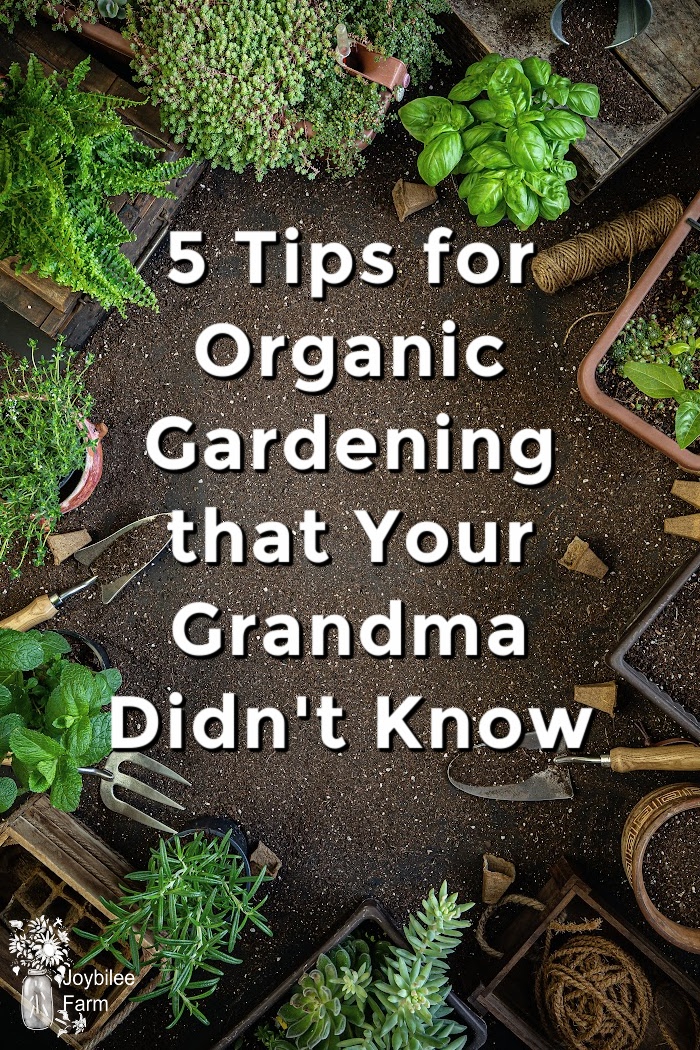 5 Tips for Organic Gardening