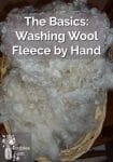 Clean wool fleece in a wicker basket