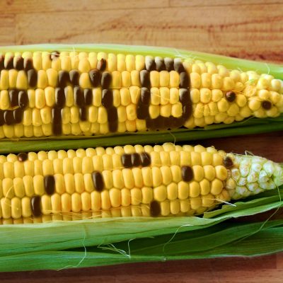 Genetically Modified Ingredients – What You Need to Know & How to Avoid GMOs