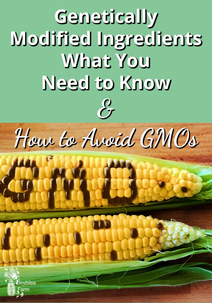 genetically modified ingredients