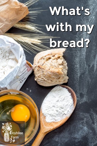 Whats With My Bread Basic Principles Of Working With Wheat Flour Joybilee® Farm Diy 7564