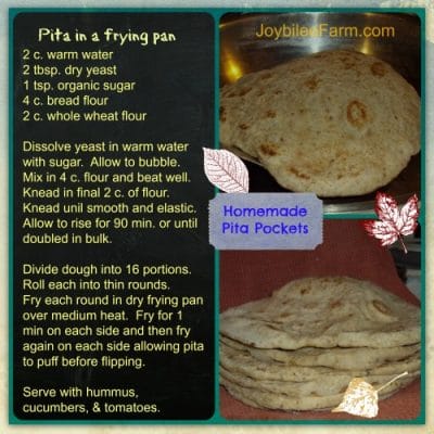 Homemade Hummus and Pita Bread