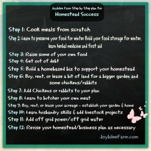 12 Steps for Homestead Success written on a "chalkboard'.