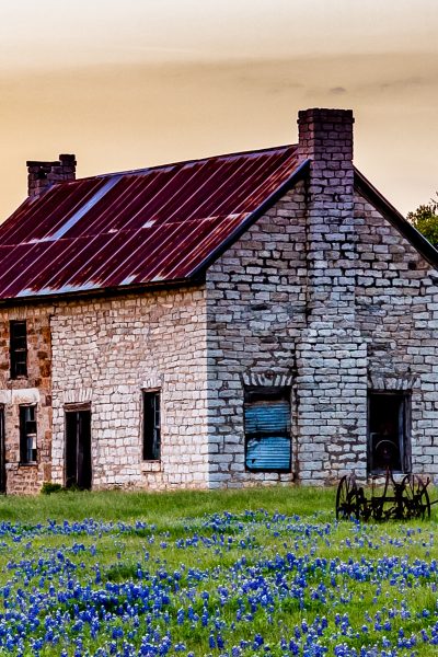 An old house and blue wildflowers