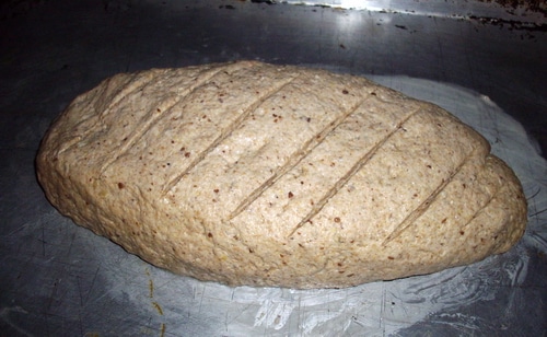 artisan bread rising