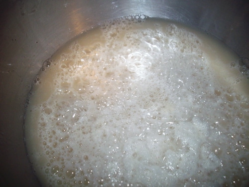 Allow yeast to become bubbly.