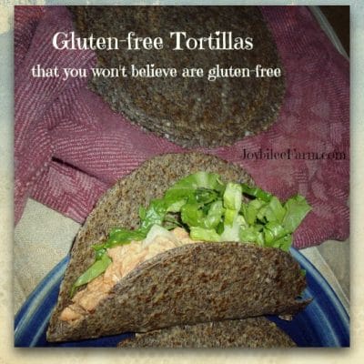 Gluten-free Tortillas