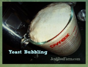 Yeast bubbling