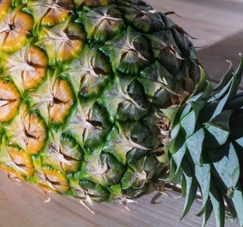 How to Dry Pineapple