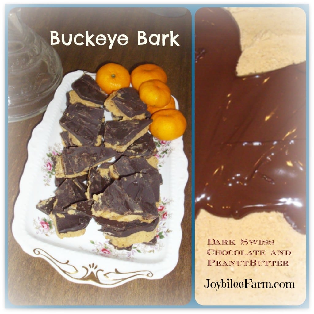 Use this buckeye recipe to make buckeye bark, bark and oranges on a platter.