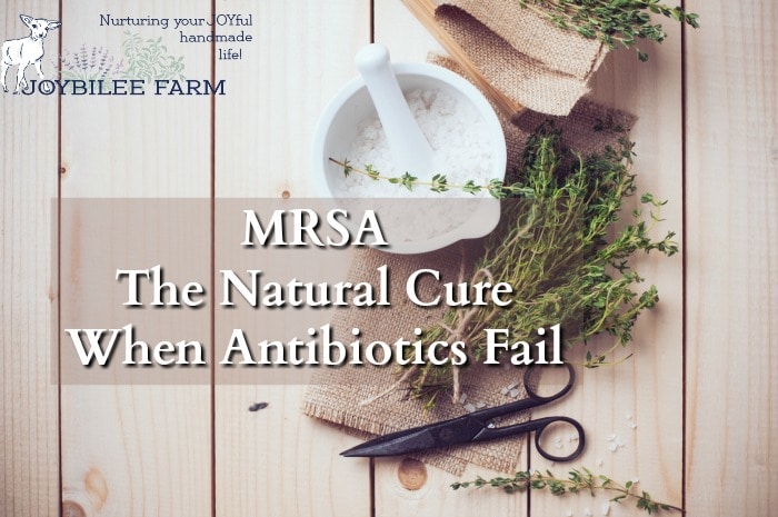 This MRSA natural cure is easy to use at home, without antibiotics, using herbs, essential oil, and other natural remedies that you might already have at home. These 10 natural remedies will give you the best chance to stop a MRSA infection so you can get back to doing the things you love.