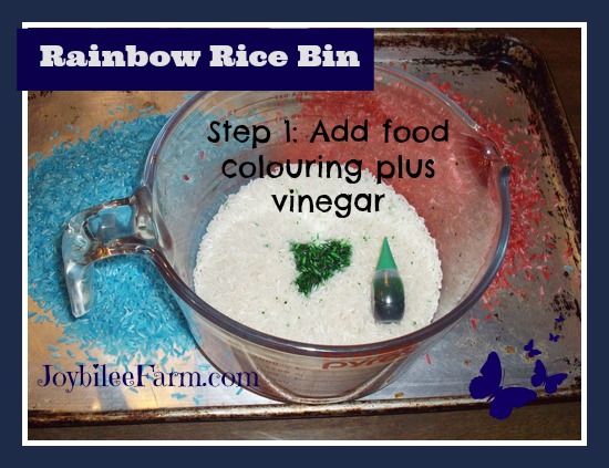 Rainbow Rice 1